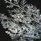 3ft. Pre-Lit Decorative Collection Ornament Artificial Christmas Tree, Clear Lights